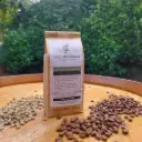 Café - Jinotega & Matagalpa NICARAGUA SHG